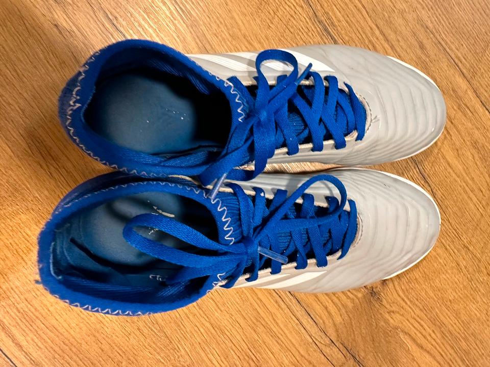 ADIDAS PREDATOR SOCKEN FUSSBALLSCHUHE HALLE 38 2 3 in Sachsen Freiberg kleinanzeigen