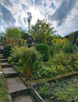 ,,altersbedingt,, schönen Garten in Sebnitz abzugeben Sachsen - Wilthen Vorschau