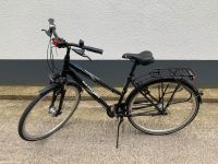 Trekkingrad Kreidler 28 Zoll inkl. Zubehör Bad Godesberg - Mehlem Vorschau