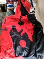 2 Hoodies Größe L Sachsen - Lichtenau Vorschau