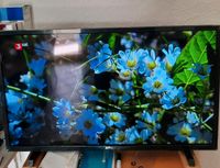 Philips TV 32 PHS4503/12  Abholung Bayern - Dillingen (Donau) Vorschau