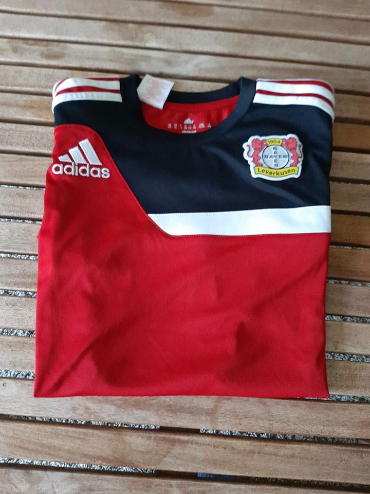 Gr 164 Trainingsshirt Bayer Leverkusen Werkself T-Shirt in Bad Vilbel