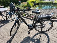 Pegasus Solero 7 E-Bike Niedersachsen - Westoverledingen Vorschau