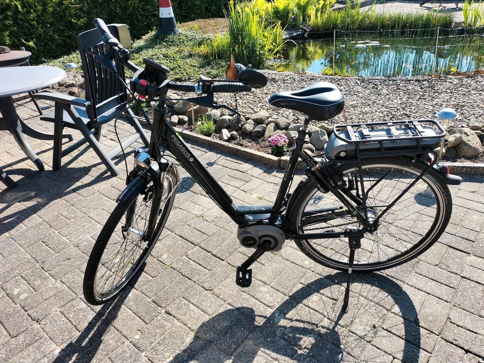 Pegasus Solero 7 E-Bike in Westoverledingen