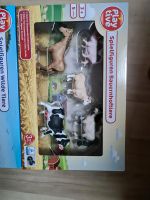 Tiere Bauernhof Playtive Lidl Bayern - Wiesent Vorschau