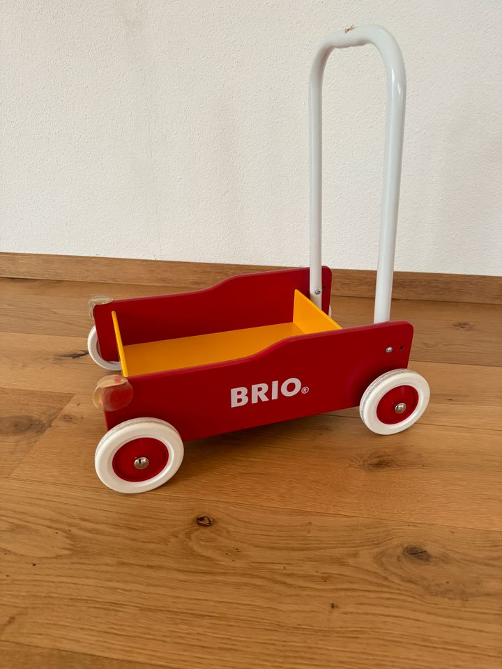 Brio Lauflernwagen in Ried