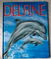 Delfine Wissen mit Pfiff Niedersachsen - Westerwalsede Vorschau