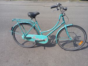 Gazelle madelief 26 sale