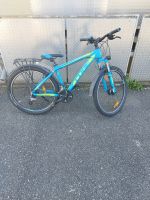 Cube Mountainbike 26 zoll jugendfahrrad Baden-Württemberg - Heilbronn Vorschau