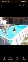 Intex Pool Swimmingpool Nordrhein-Westfalen - Minden Vorschau