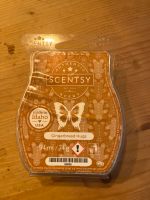 Scentsy Bar, Gingerbread Hugs Bayern - Kümmersbruck Vorschau