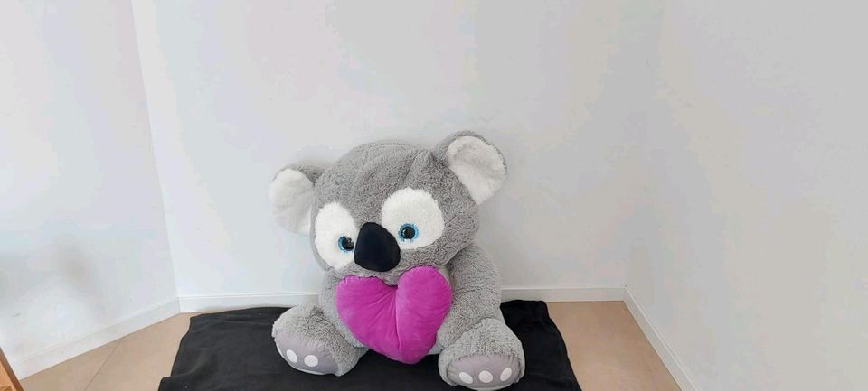 Großer Koala  Stofftier in Butzbach