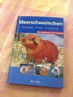 Meerschweinchen: Verhalten, Pflege, Ernährung Niedersachsen - Northeim Vorschau
