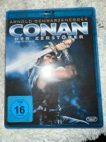 Conan der Zerstörer - Blu-Ray (Schwarzenegger) Friedrichshain-Kreuzberg - Friedrichshain Vorschau