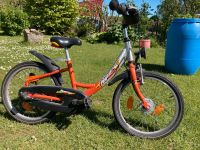 Kinder Fahrrad Pegasus 16 Zoll Nordvorpommern - Landkreis - Marlow Vorschau