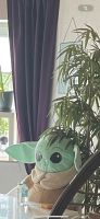 XXL Baby Yoda Kuscheltier Stofftier Star Wars Rheinland-Pfalz - Asbach Vorschau