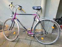 Platin 6 Fahrrad citybike Essen - Huttrop Vorschau