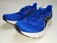 Asics GT-2000 12 Herren Laufschuhe Schuhe Sneaker Gr. 44,5 Baden-Württemberg - Mühlacker Vorschau