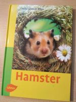 Hamster, alles über Hamster, Haltung , Ernährung, Bayern - Weißenburg in Bayern Vorschau