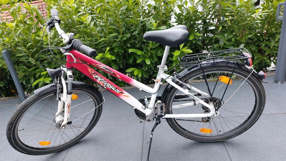 Pegasus Kinderfahrrad 26 Zoll in Solingen