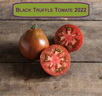 ERNTE 2022 Black Truffle Stabtomate 15 Samen aus Bio Anbau Hessen - Borken Vorschau