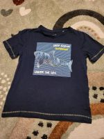 Topolino Shirt T-Shirt Basicshirt Sommershirt 116 Hai Meerestier Brandenburg - Neuruppin Vorschau