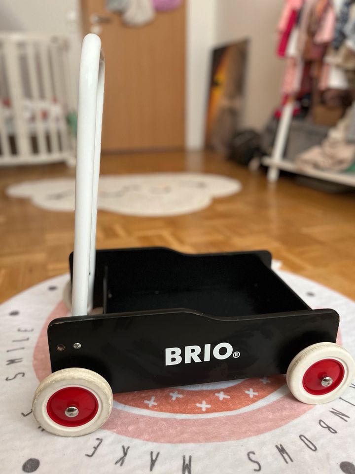 Brio Lauflernwagen in Hofheim am Taunus