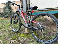 Haibike Mountainbike - Entdecke die Trails! Dresden - Pieschen Vorschau