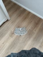 Shorts, kurze Hose, animal-Print, beige, Größe 134/140 Nordrhein-Westfalen - Ahaus Vorschau