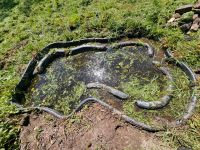 Teichwanne Garten zu verschenken Fertigteich Teichbecken Rheinland-Pfalz - Rockenhausen Vorschau