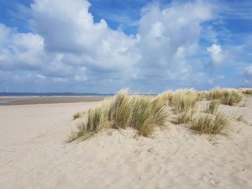 Urlaub in Zeeland (NL) am Strand & Meer Chalet für 4 Pers. Hundef in Jüchen