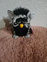 Furby Original Sammlerstück Baden-Württemberg - Aalen Vorschau