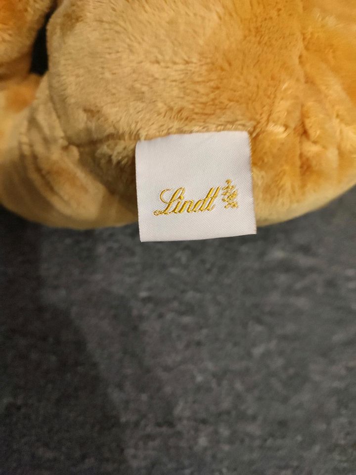 Kuscheltier Teddy Bär Lindt in Alsdorf