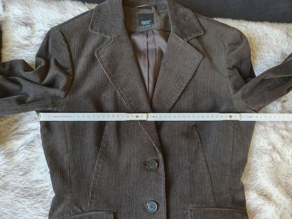 Cord Kostüm von Esprit Collection Rock 36, Blazer 38 in Kassel