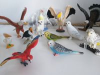 SCHLEICH-Vogel Wellensittch grün und blau Nordrhein-Westfalen - Nettetal Vorschau