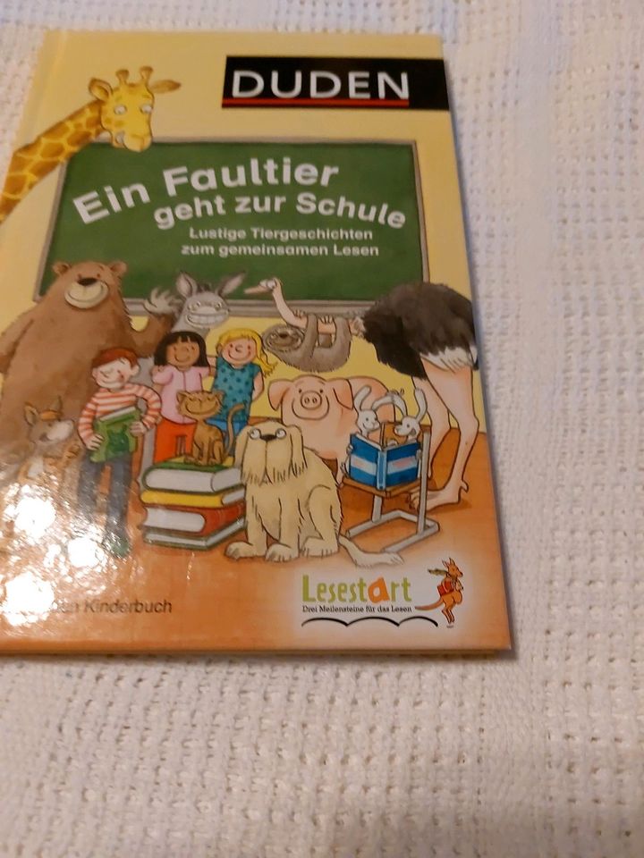 Duden Buch "Ein Faultier geht zur Schule" in Denkendorf