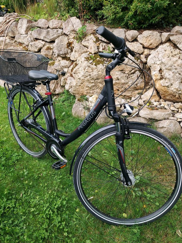 PEGASUS Solero SL Damenfahrrad 28" Zoll. Weihnachtsgeschenk? in Beilngries