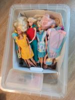 Barbie Puppen Bad Godesberg - Friesdorf Vorschau