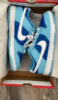 Nike Dunk Argon low Hessen - Bad Soden am Taunus Vorschau