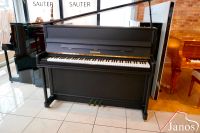 Besonderes W. Hoffmann Klavier ✱ Made in Germany ✱ C. Bechstein Bayern - Königsbrunn Vorschau