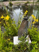 Vogel befestigt auf Schiefer Säule mit Beton Sockel Baden-Württemberg - Hohberg Vorschau