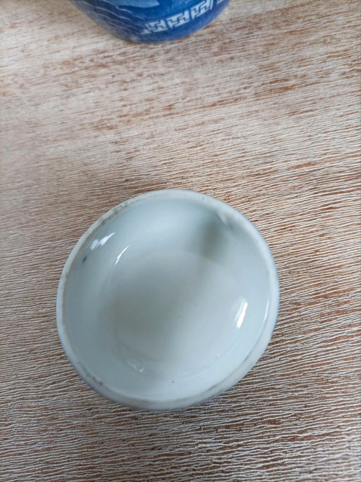 Porzellan Teedose China 16 cm in Rheinzabern