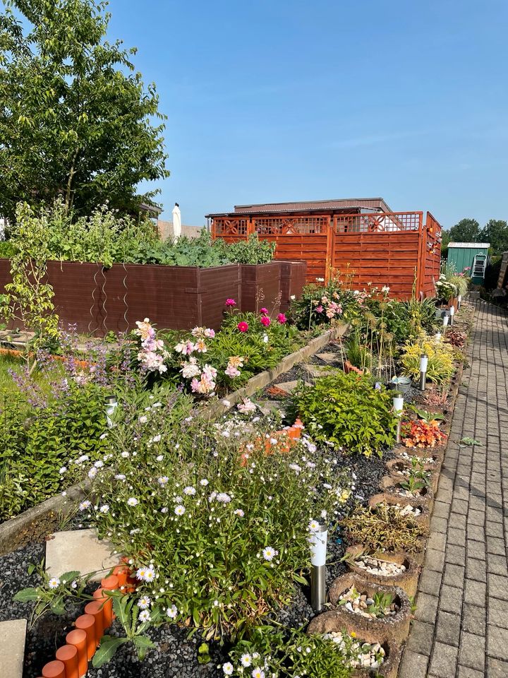 Pachtgarten in Weida im Winterschlaf sucht Gartenliebhaber in Gera