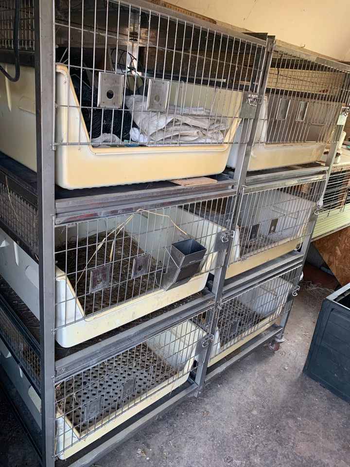 Kaninchenstall Laborkäfig Käfig für Kleintiere in Behrenhoff
