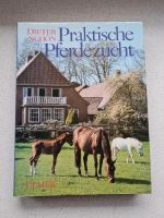 Praktische Pferdezucht Dieter Schön Buch Niedersachsen - Wilhelmshaven Vorschau