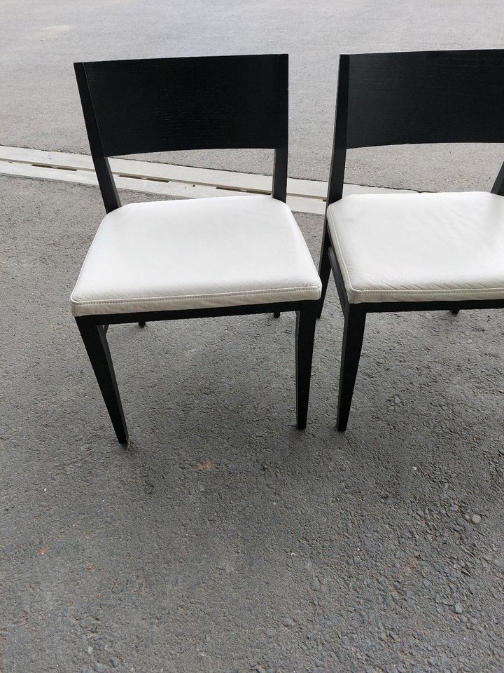 Stuhl mit weißer Ledersitzfläche in Kohlberg Oberpfalz