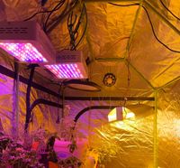 Growanlage komplett 1,5kw ND+LED grow hydroponic dwc aquaponic Bayern - Wörth a. Main Vorschau