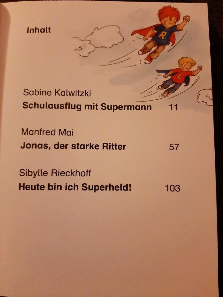 Das große Buch der Abenteuer Erstlesegeschichten für  Jungs in Herxheim bei Landau/Pfalz