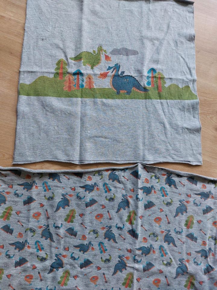 ❤️ Dino Panel Stoff nähen Sommer Sweat French Terry in Leutenbach