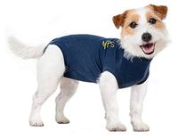 MPS Medical Pet Shirt Hund Blau Anzug für kleine Hunde nach OP Saarbrücken-West - Gersweiler Vorschau